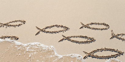 Fische, in einen Sandstrand eingezeichnet