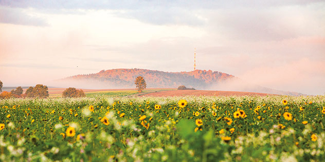 Kirchen bieten auf Landesgartenschau vielseitiges Programm, © BGetze