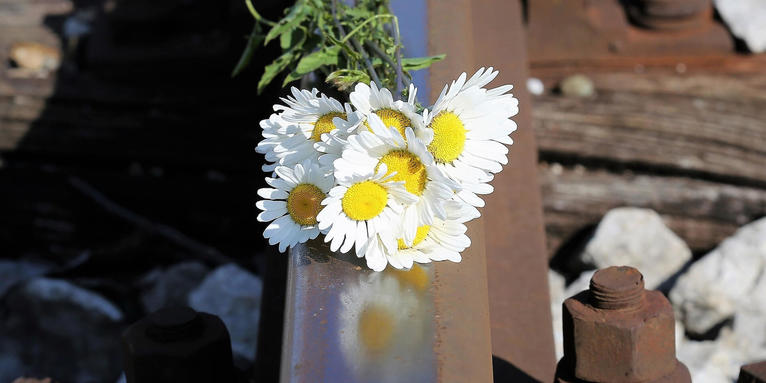 Blumen auf Schienen , © pixabay/Goran Horwart
