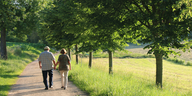 Menschen auf einem Alleeweg, © Diakonie Fürth