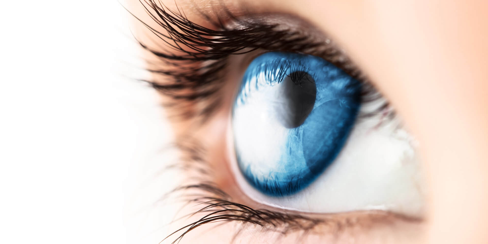 Das Bild zeigt ein menschliches Auge Das Bild zeigt ein menschliches Auge