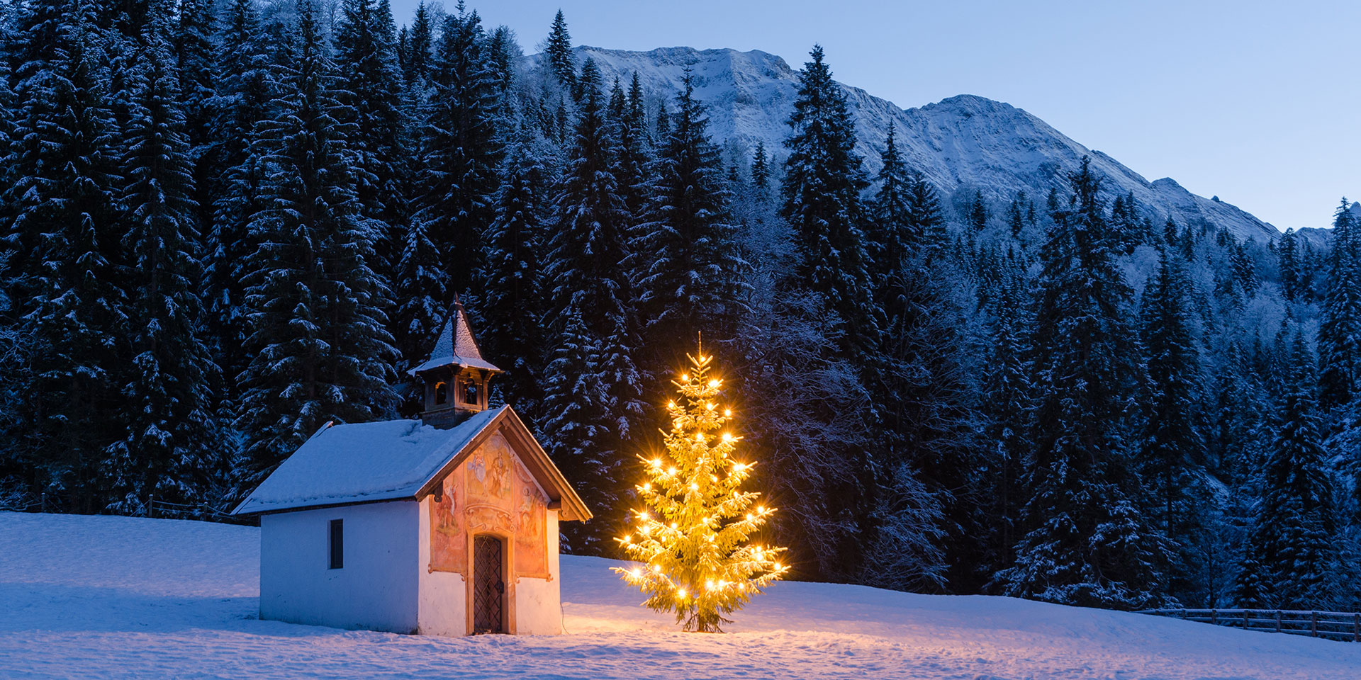 Sie sind besinnlich, festlich und immer gut besucht, die Gottesdienste an Weihnachten. Auch für die Mitglieder der Kirchenleitung sind sie jedes Jahr ein besonderes Erlebnis. 