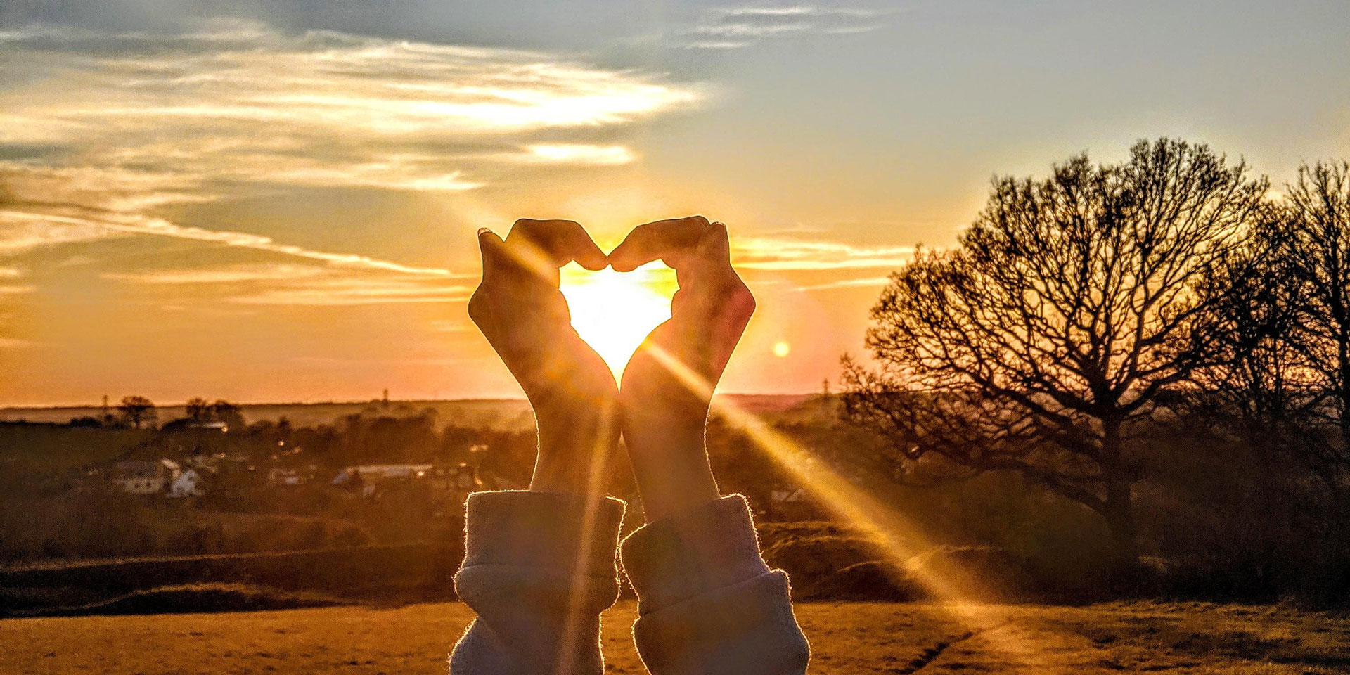 Am Valentinstag wird die Liebe gefeiert. 