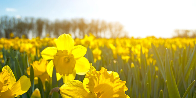 Predigten zu Ostern, © GettyImages-JuSkz