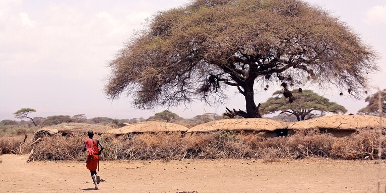 Aufgrund der Dürre sind viele Viehbauern mit ihren  Herden umgezogen., © GettyImages-Thomas-Spaeter