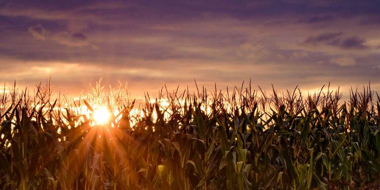 Wir sind aufgerufen, die Schöpfung zu bewahren., © GettyImages