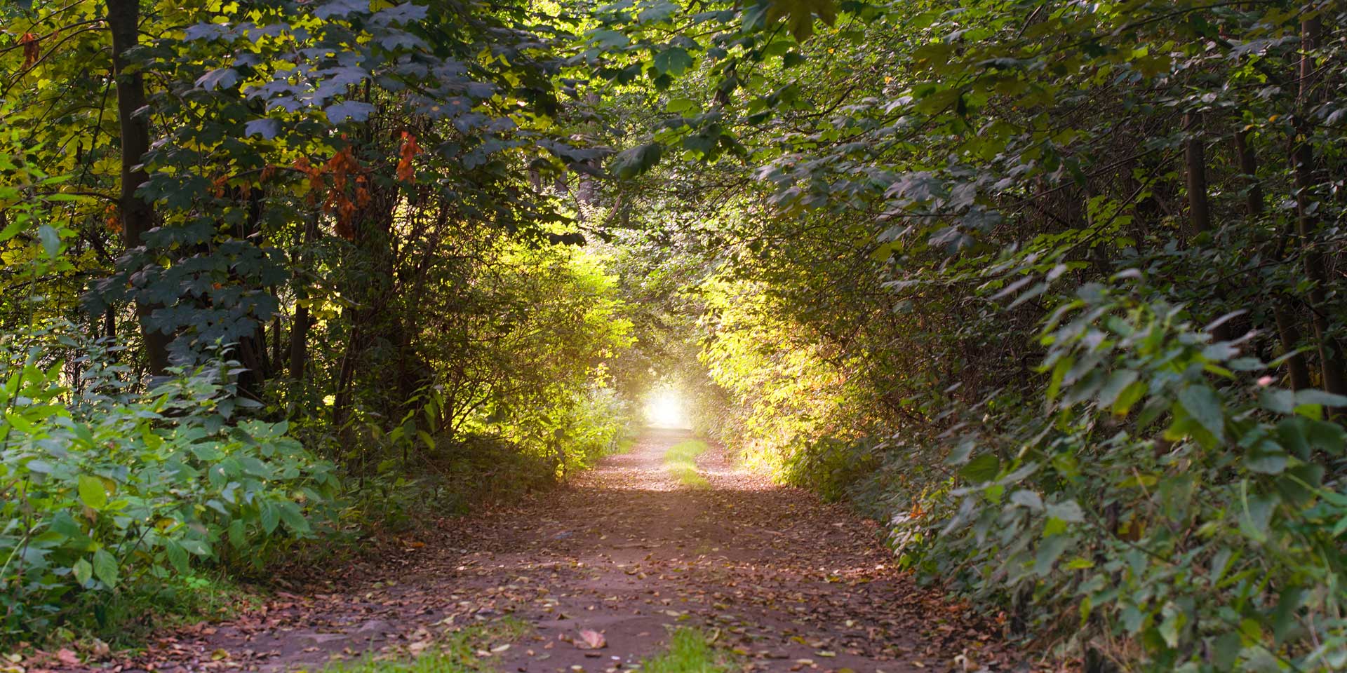 „Niemand soll am Lebensende allein sein“