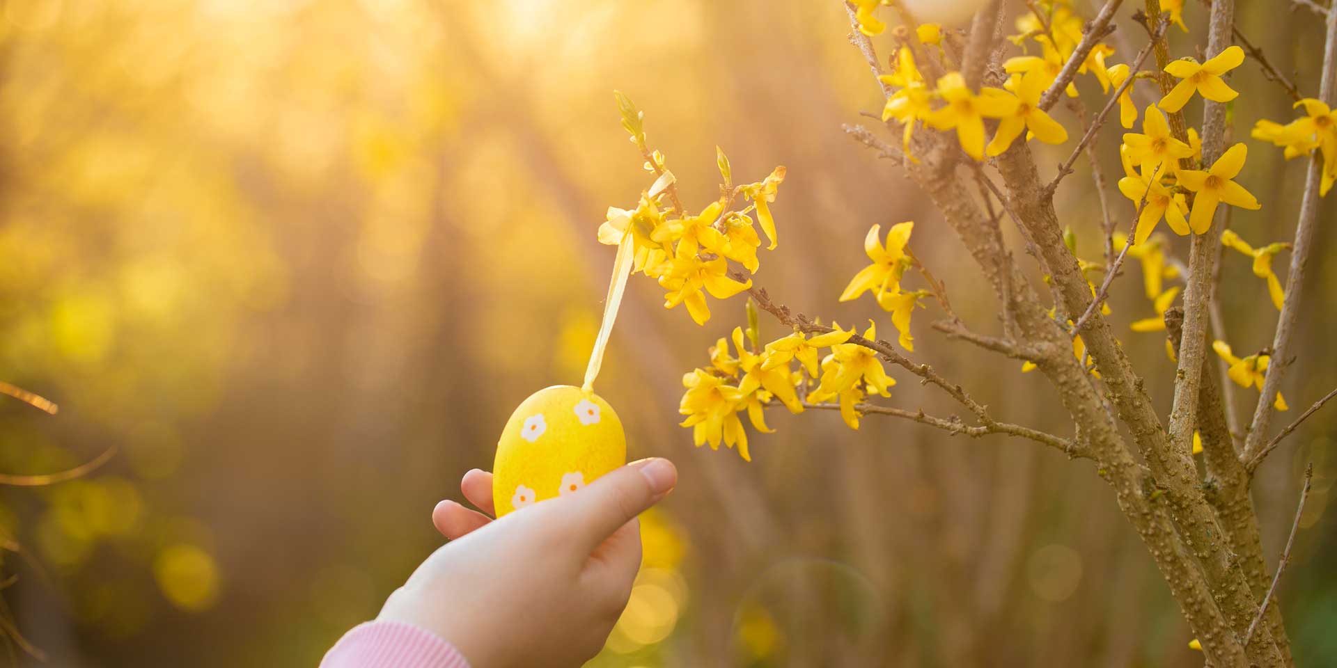 An Ostern gibt es eine Fülle von Möglichkeiten, an evangelischen Gottesdiensten teilzunehmen. 