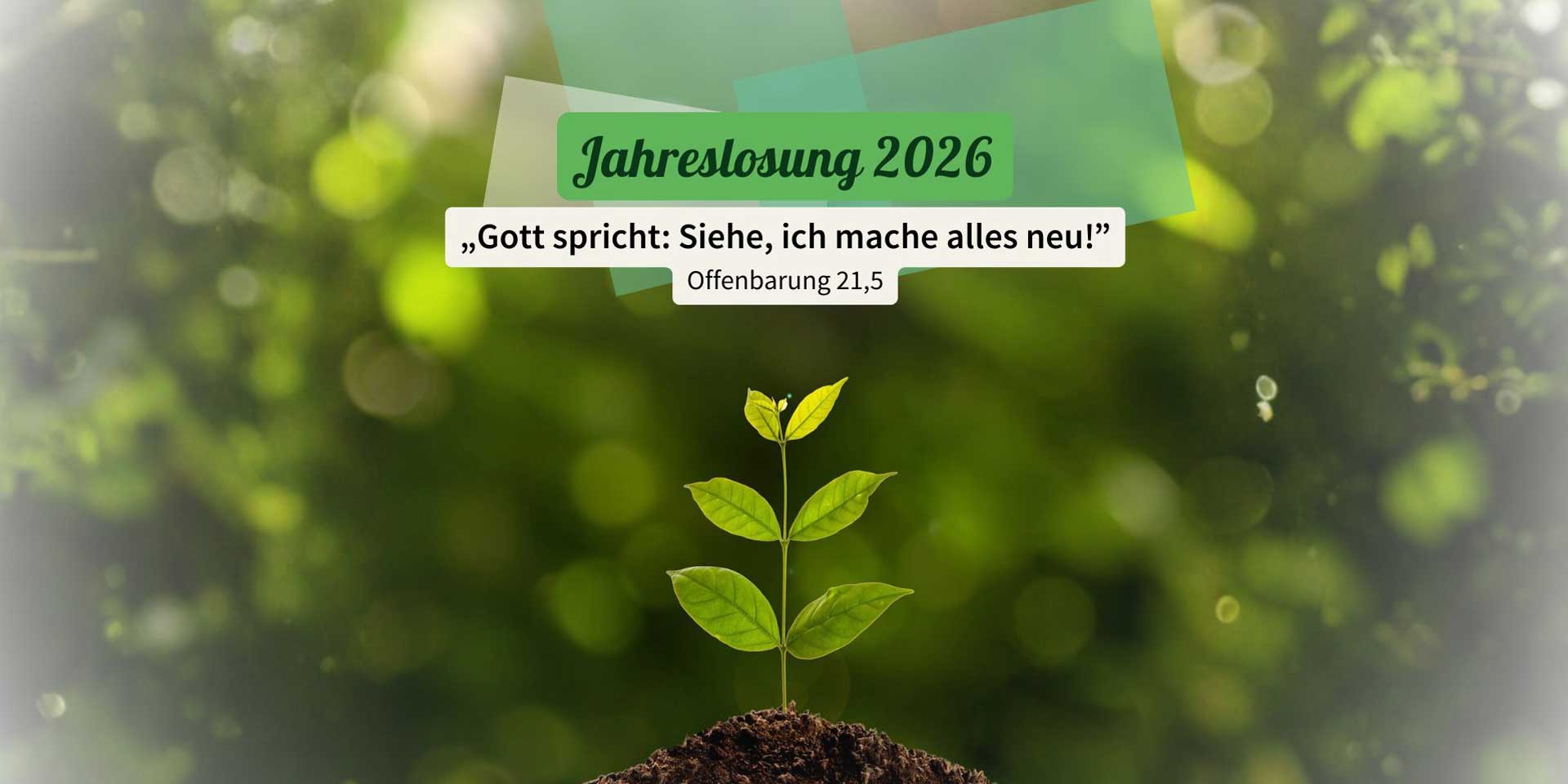Die Jahreslosung 2026 können wir als tröstliche Botschaft lesen.