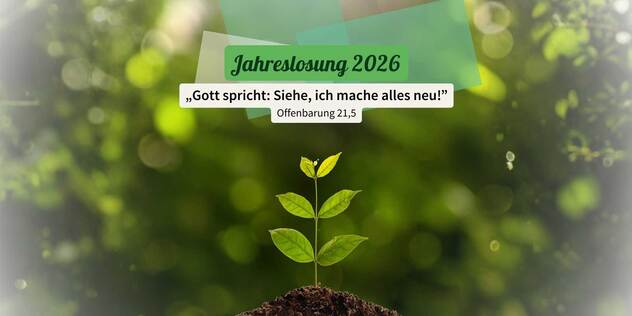 Die Jahreslosung 2026 können wir als tröstliche Botschaft lesen. Link zum Artikel "Gott spricht: Siehe, ich mache alles neu!"