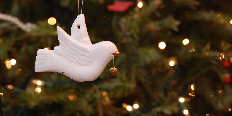 Eine Friedenstaube im Weihnachtsbaum , © gettyimages/mkgphoto