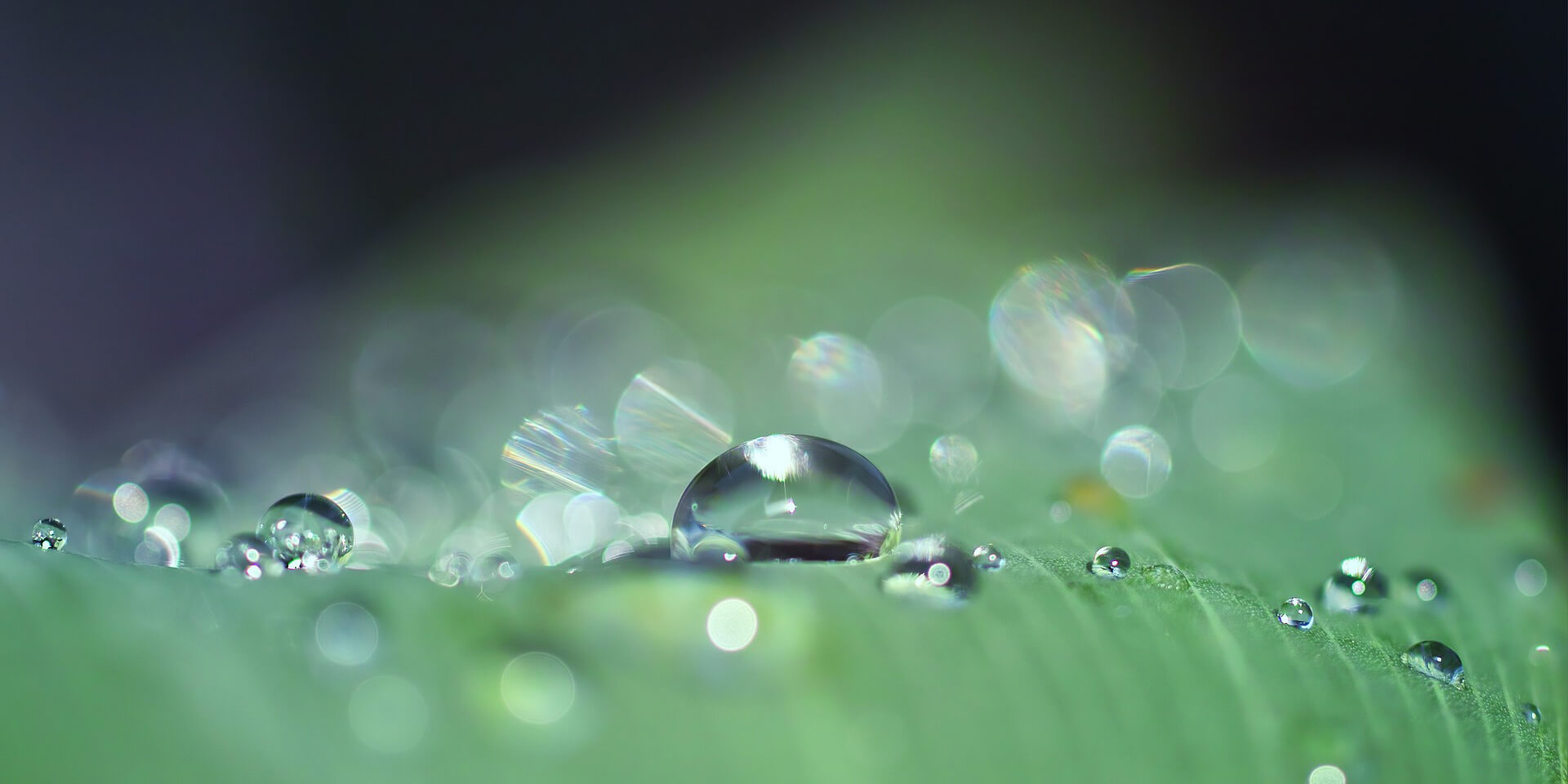 Makroaufnahme eines Wassertropfens auf einer Wiese, © pixabay/jplenio