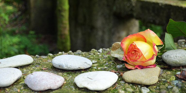 Rose und Steine auf der Außenmauer einer KZ-Gedenkstätte, © pixabay/Lohrelei