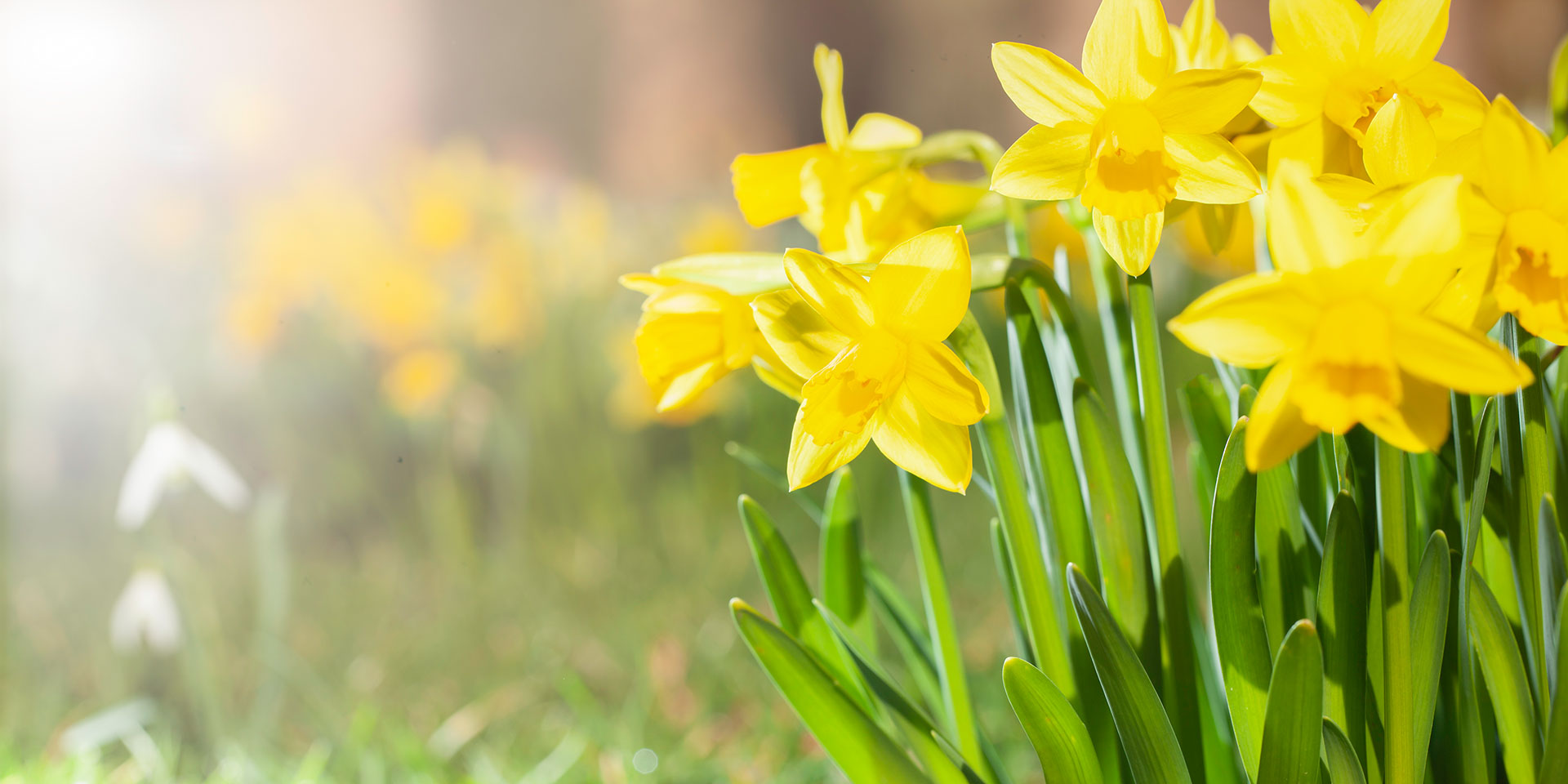 Ostern ist das wichtigste und älteste Fest der Christen. 