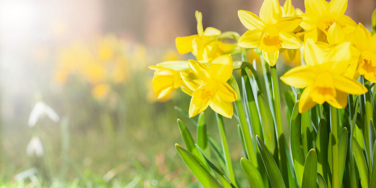 Ostern ist das wichtigste und älteste Fest der Christen. , © iStock-Simotion