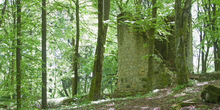 Auf der Burg Ehrenfels wird das Abendmahl gefeiert., © iStock-Tinieder