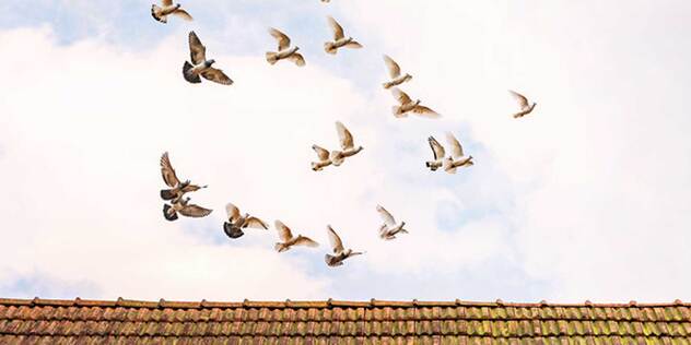 Link zum Artikel 4. Woche: Frischer Wind
