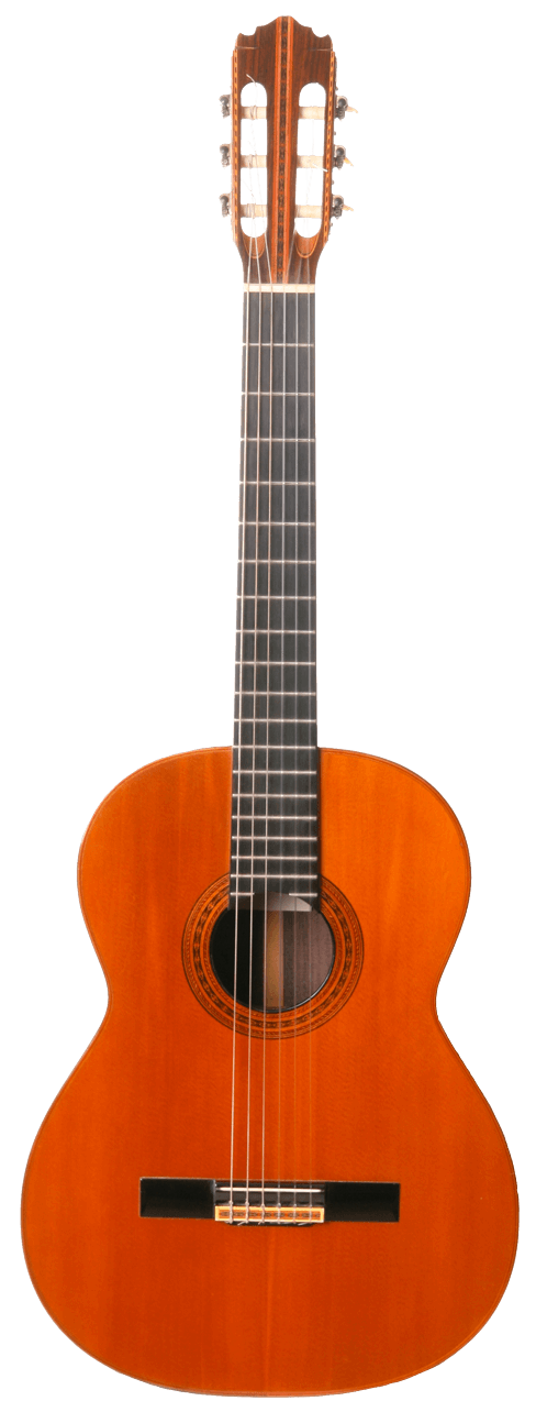 Gitarre